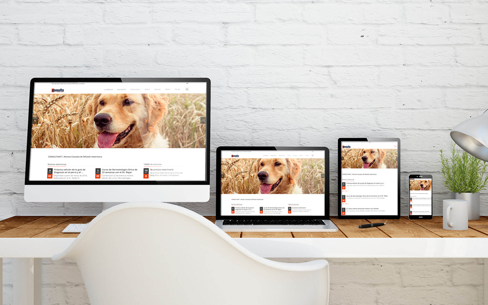 Aplicación web - Consultavet